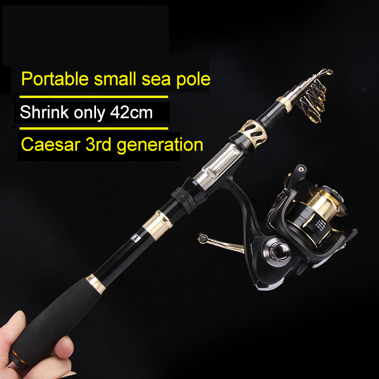 Ультралегкое карповое удилище  – обзор и цена Fishing Rod Combo